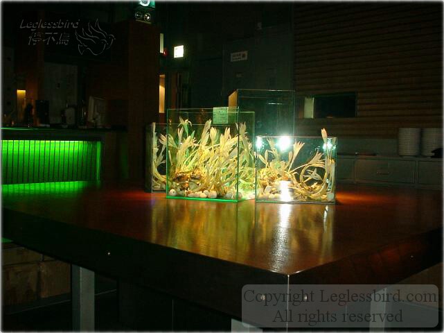 Green-Nov2002b