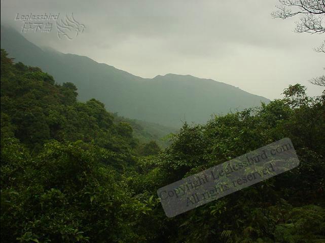 Lantau011209-06