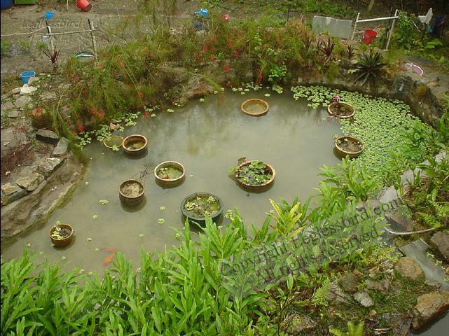 Lantau011209-07