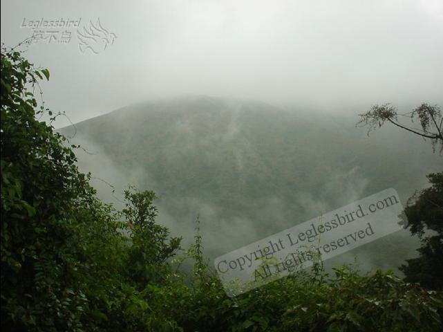 Lantau011209-08