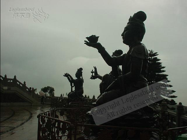 Lantau011209-13