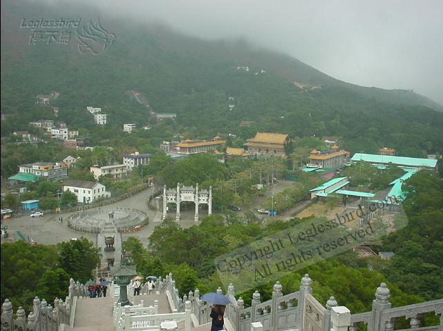 Lantau011209-16