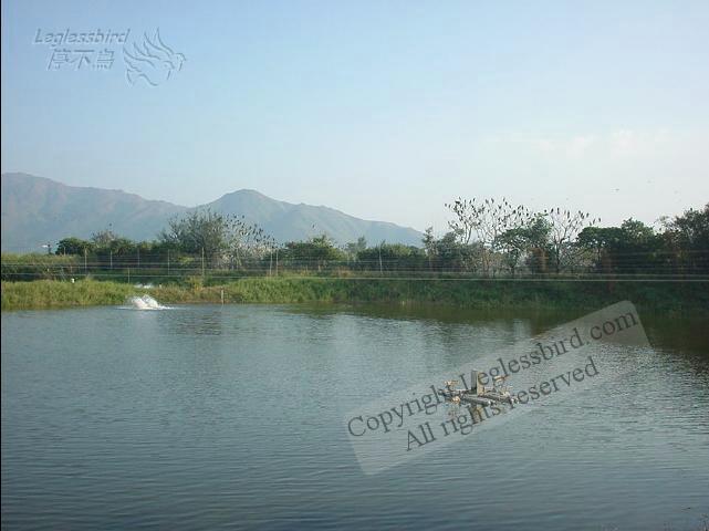 MaiPo011125-14