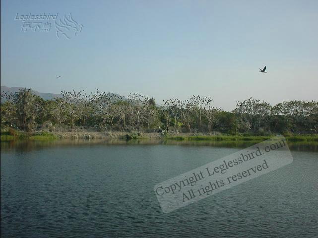 MaiPo011125-22
