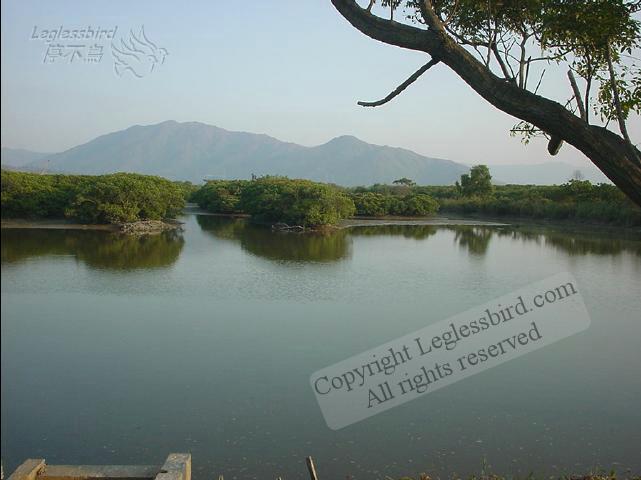 MaiPo011125-27