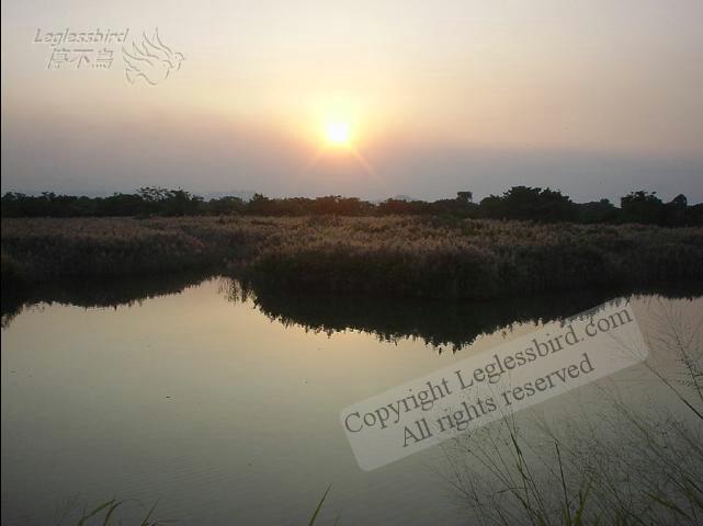 MaiPo011125-32