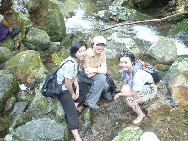 NgTungChai010729-04