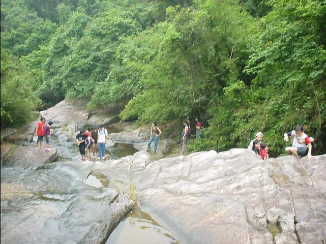 021001BridalPool04