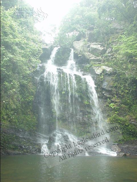 021001BridalPool06