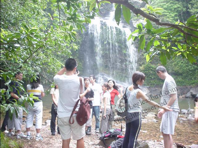 021001BridalPool09
