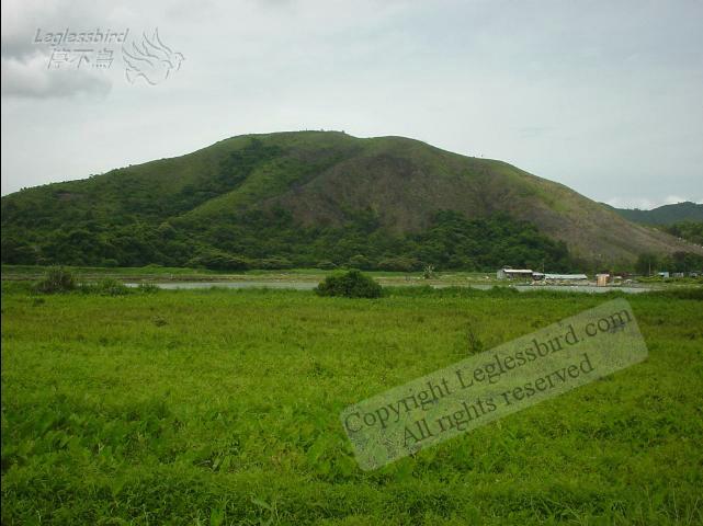 KaLungTam020615-01