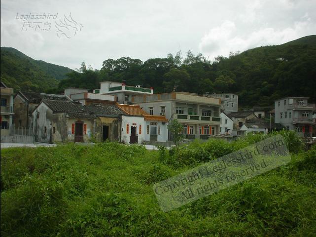 KaLungTam020615-02