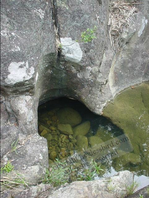 KaLungTam020615-06
