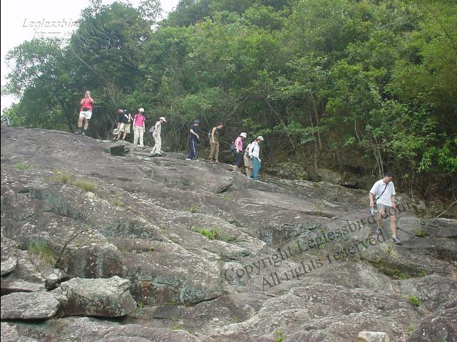 KaLungTam020615-10