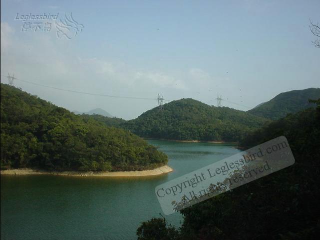 WanChaiGap020309-04