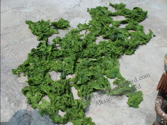 PoToiIsland030601-07