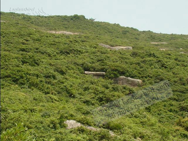PoToiIsland030601-20