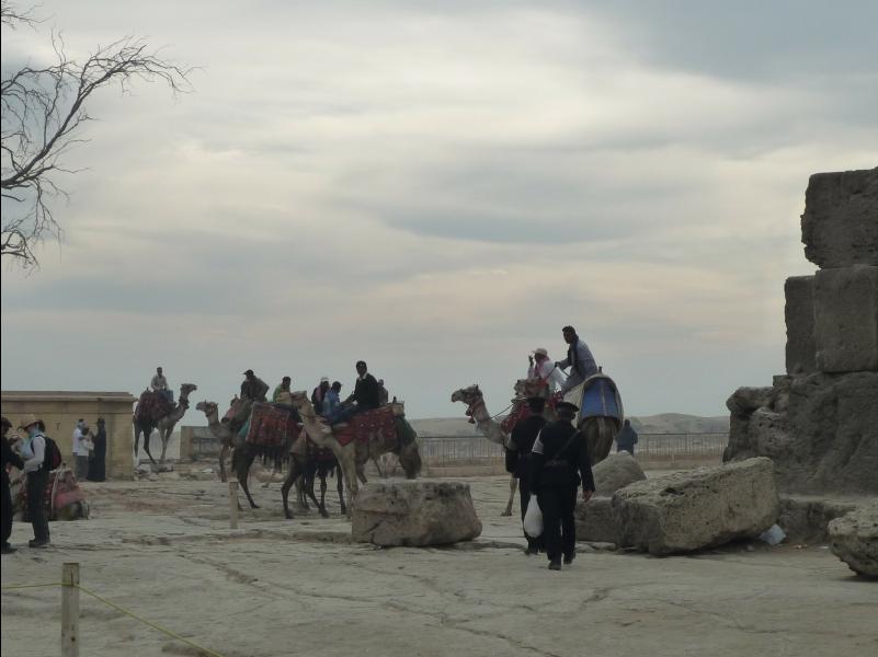 The_Giza_Pyramids13