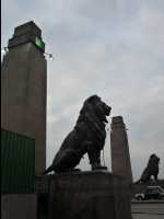Cairo14