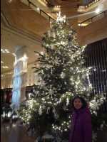 Intercontinental18