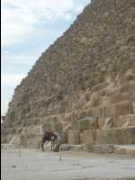 The_Giza_Pyramids32