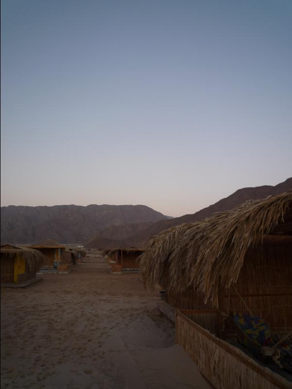 Sawa_Camp58