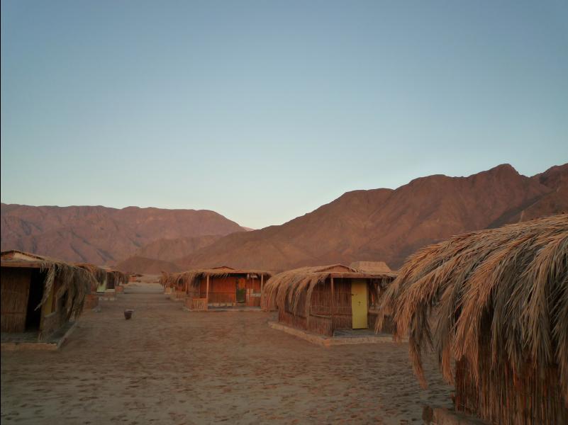 Sawa_Camp72