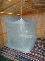 Sawa_Camp01
