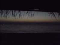 Sawa_Camp43