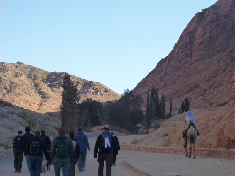 Mount_Sinai03