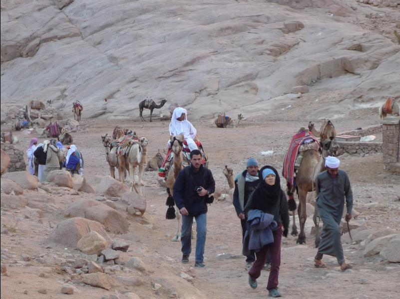 Mount_Sinai07