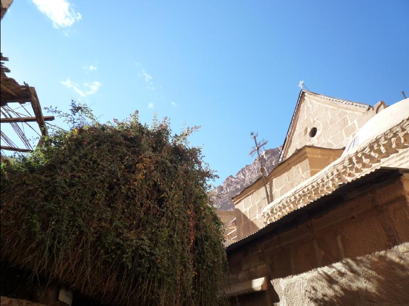 St.Katherine's_Monastery06