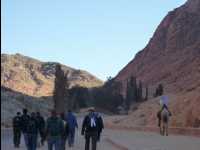 Mount_Sinai03