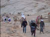 Mount_Sinai07