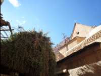 St.Katherine's_Monastery06