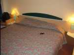 IbisHotel01