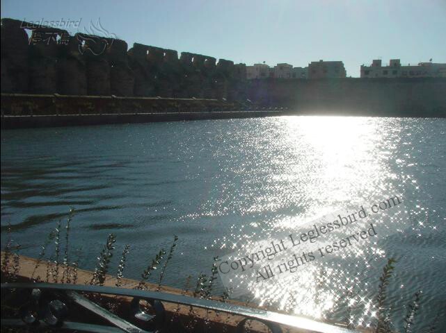 BassinDeLAguedal02