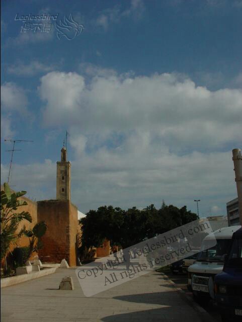 AvenueHassanII04