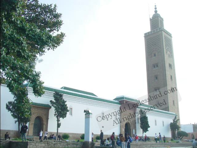PlaceJamaEsSouna01