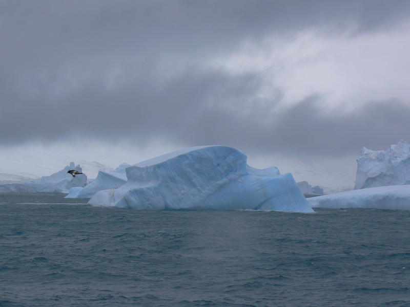 Elephant_Island001
