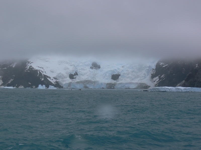 Elephant_Island002