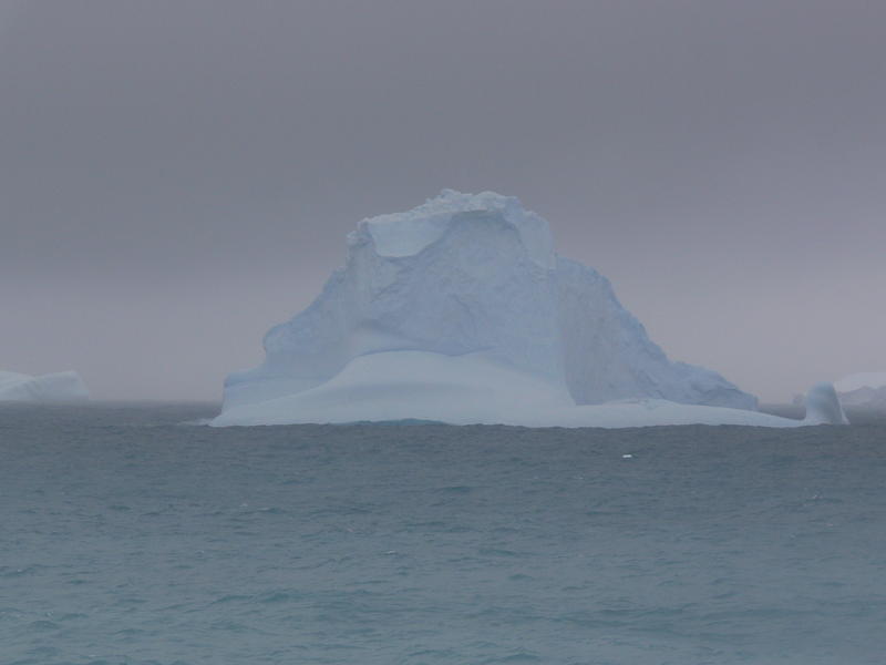 Elephant_Island012