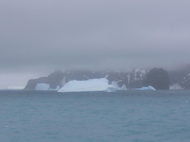 Elephant_Island013