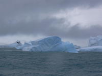 Elephant_Island001