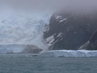 Elephant_Island003