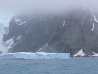 Elephant_Island004