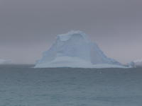 Elephant_Island012