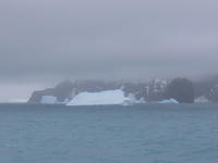 Elephant_Island013