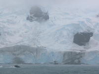 Elephant_Island015