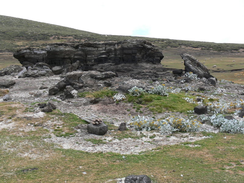 Saunders_Island008